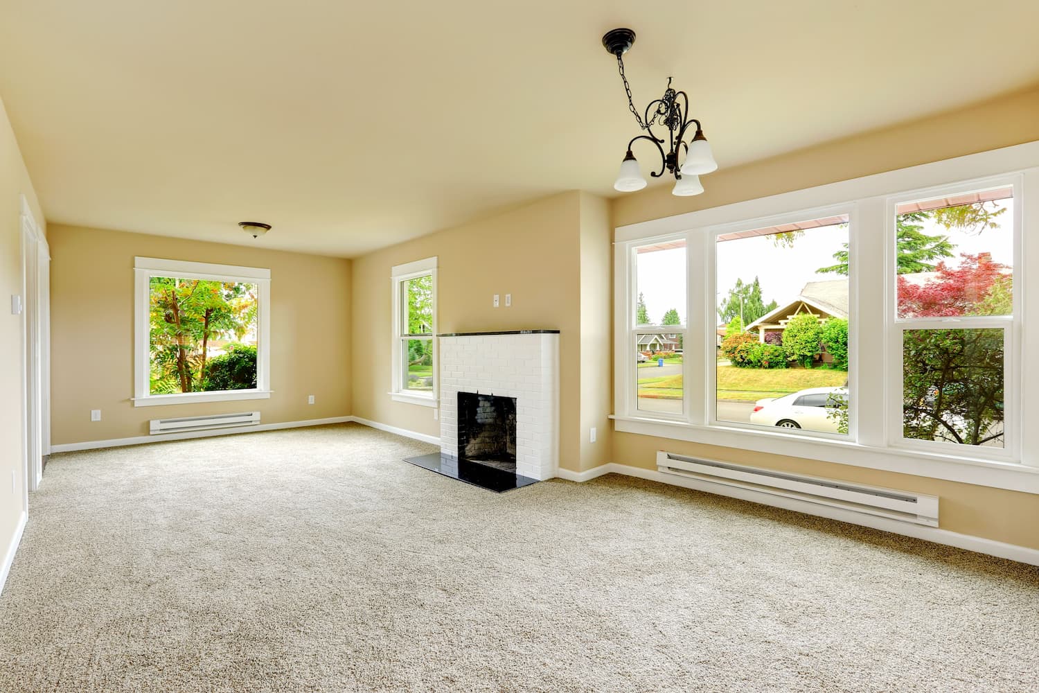 Carpet Cleaning
